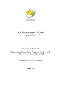Documento N° 6 - Diagnóstico, Evaluación y Propuesta de Desarrollo del Mercado de Deirvados en Chile. Carlos Budnevich L. y Salvador Zurita L.